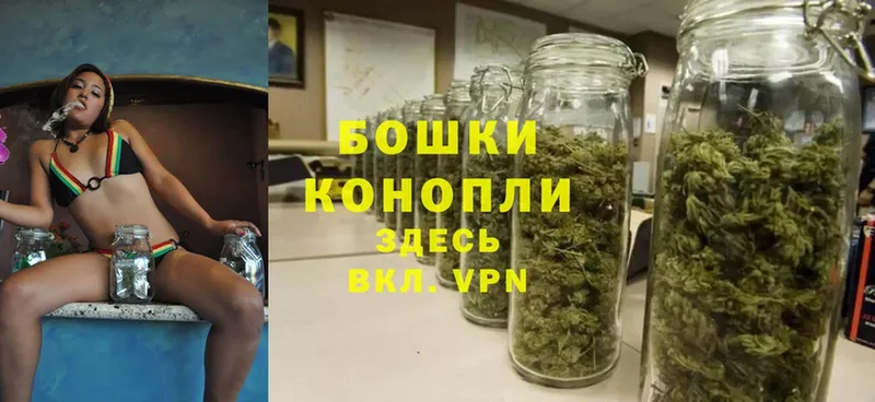 Конопля Bruce Banner  Пушкино 